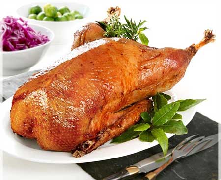 آیا خوردن گوشت اردک در بارداری ضرر دارد؟!